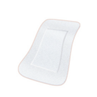 Capture d'écran 2026-02-01 162637