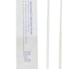 Capture d'écran 2026-02-06 182459