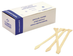 SPATULES D'AYRES / 200*