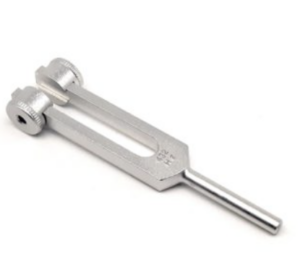 DIAPASON HARTMANN + CURSEUR 13.2 CM